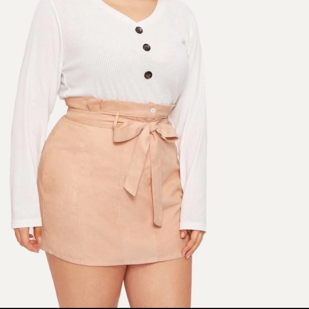 Blush Belted Skirt - Picture 3 of 13